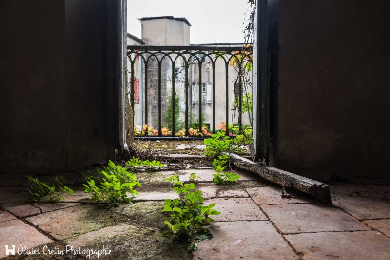 Chateau de l'archéologue - Le jardin intérieur en été