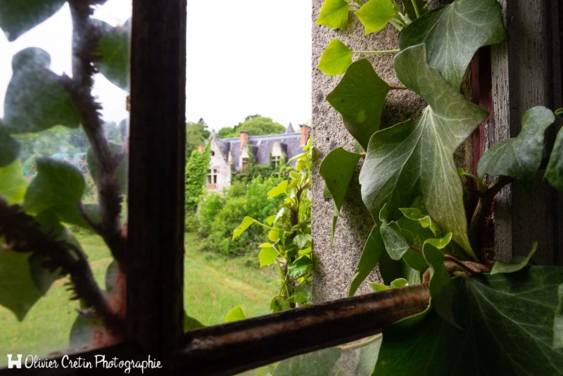 Château séquoia - Extérieur intérieur