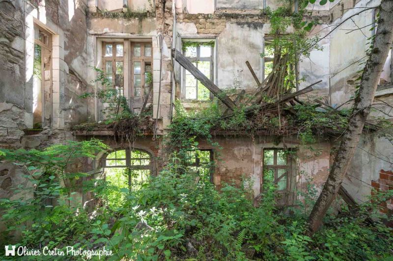 Notre Dame des prunes - Mur végétal