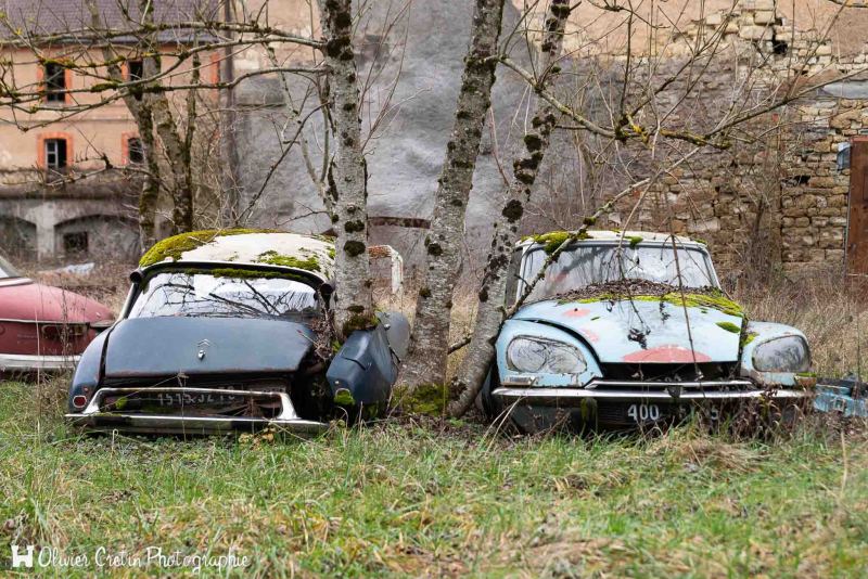 Cimetière de voitures vintage - Les jumelles (Citroën DS)