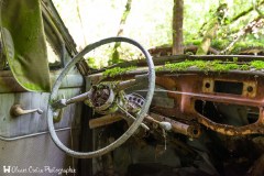 Cimetière de voitures de l\'infirme - La Conduite écolo