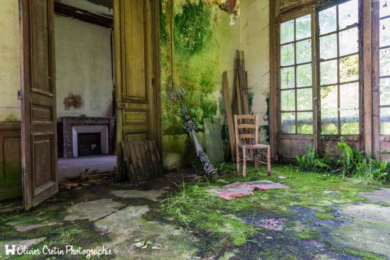 Manoir du chasseur - La pièce nature