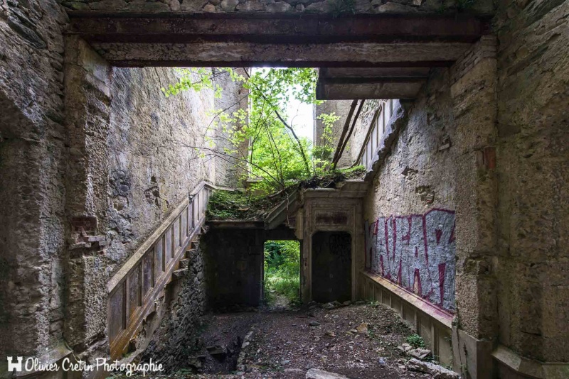 Chateau de Saint Sixte - Nature à tous les étages