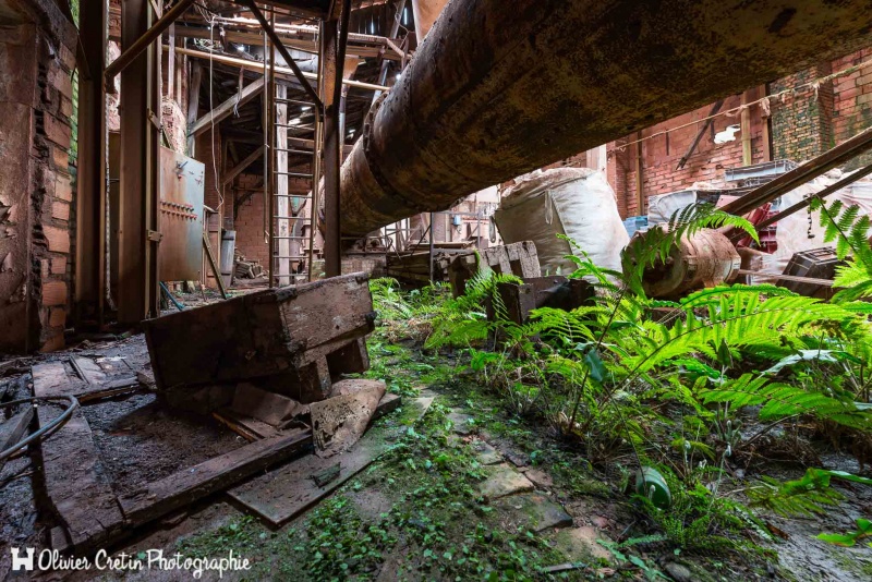 Usine du carreleur - Permaculture