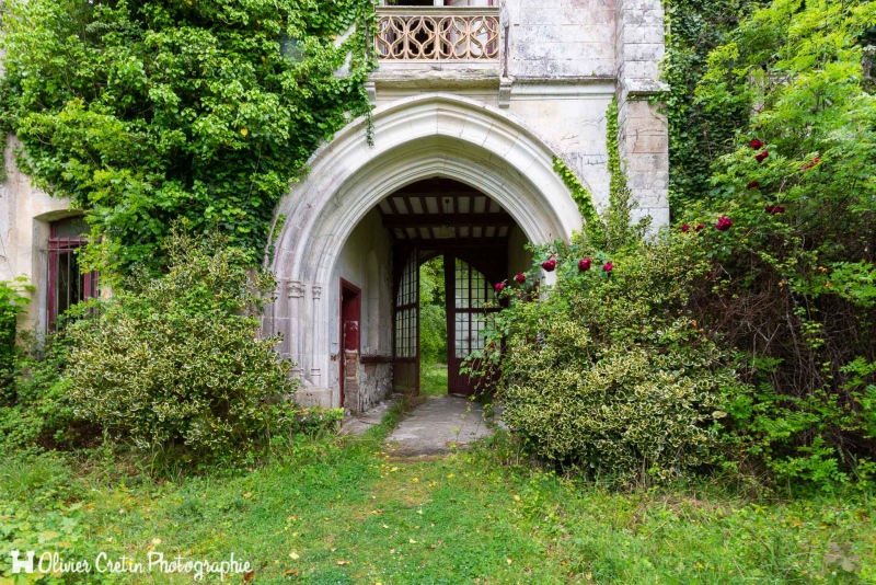 Château séquoia - Vert