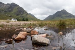 Ecosse - Environs de Glencoe - Panorama au ras des paquerettes