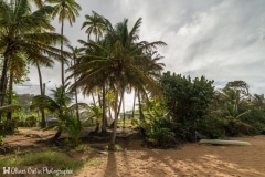 Guadeloupe - Plage de la perle - Oasis de soleil