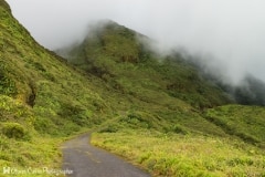 Guadeloupe - Pentes de la soufrière - Le chemin du Mordor