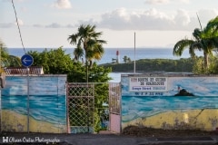 Guadeloupe - Le Gosier - Patchwork représentatif