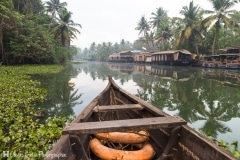 Inde - Kumarakom - Balade en pirogue sur les backwaters