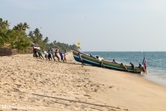 Inde - Le retour de la pêche à Marari beach